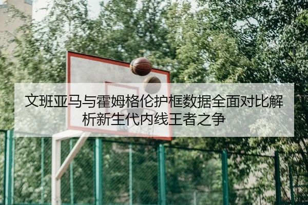 文班亚马与霍姆格伦护框数据全面对比解析新生代内线王者之争