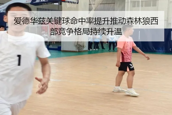 爱德华兹关键球命中率提升推动森林狼西部竞争格局持续升温
